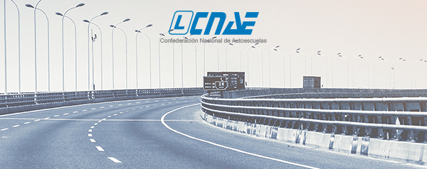 CNAE quiere que se aborde de una vez la actualización de conocimientos de los conductores